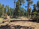 photo thumbnail #5
