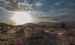 photo thumbnail #1