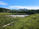 photo thumbnail #2