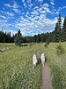 photo thumbnail #3