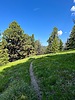photo thumbnail #9