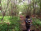 photo thumbnail #6