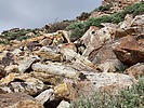 photo thumbnail #8