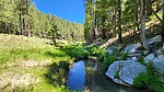 photo thumbnail #2