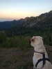 photo thumbnail #2