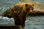 photo thumbnail #7