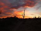photo thumbnail #1