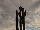 photo thumbnail #4