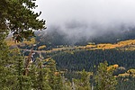 photo thumbnail #12