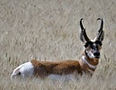 photo thumbnail #3