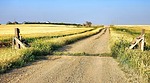 photo thumbnail #10