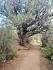 photo thumbnail #13