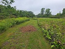 photo thumbnail #2