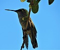 photo thumbnail #2
