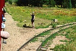photo thumbnail #7