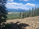 photo thumbnail #3