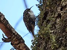 photo thumbnail #14