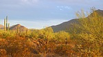 photo thumbnail #6