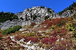 photo thumbnail #9