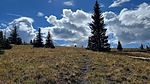photo thumbnail #12