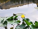 photo thumbnail #13