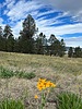 photo thumbnail #5
