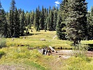 photo thumbnail #5