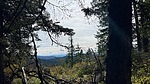 photo thumbnail #12