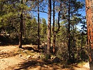 photo thumbnail #15