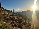 photo thumbnail #1