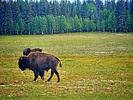 photo thumbnail #13
