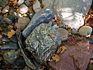 photo thumbnail #13