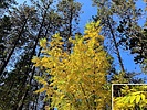 photo thumbnail #15