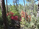 photo thumbnail #3