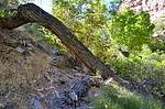 photo thumbnail #12