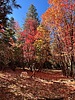 photo thumbnail #7