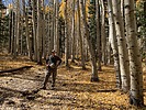 photo thumbnail #9