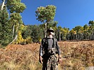 photo thumbnail #4