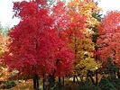 photo thumbnail #10
