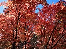photo thumbnail #15