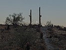 photo thumbnail #2