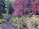photo thumbnail #9
