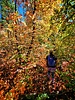 photo thumbnail #8