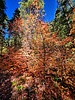 photo thumbnail #14