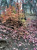 photo thumbnail #6