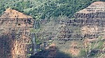 photo thumbnail #7