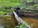 photo thumbnail #11