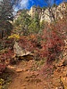 photo thumbnail #11