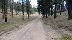 photo thumbnail #11