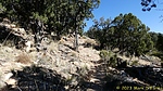 photo thumbnail #11